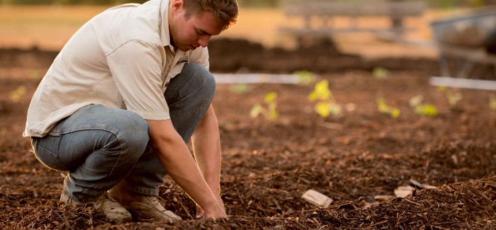 Should You Do An Mba In Agribusiness Topmba Com