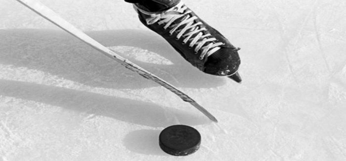 Hockey EMBA launched in Canada