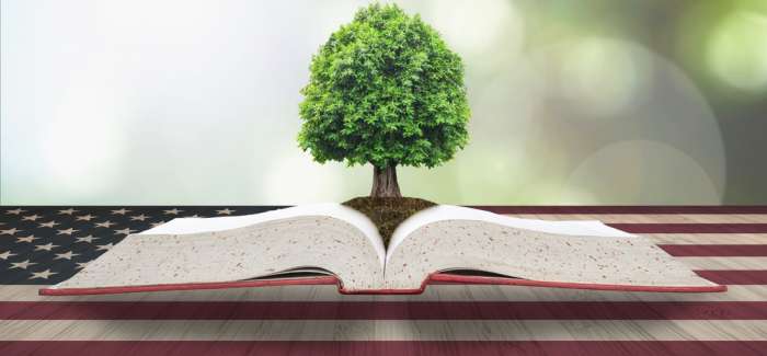 article lead image