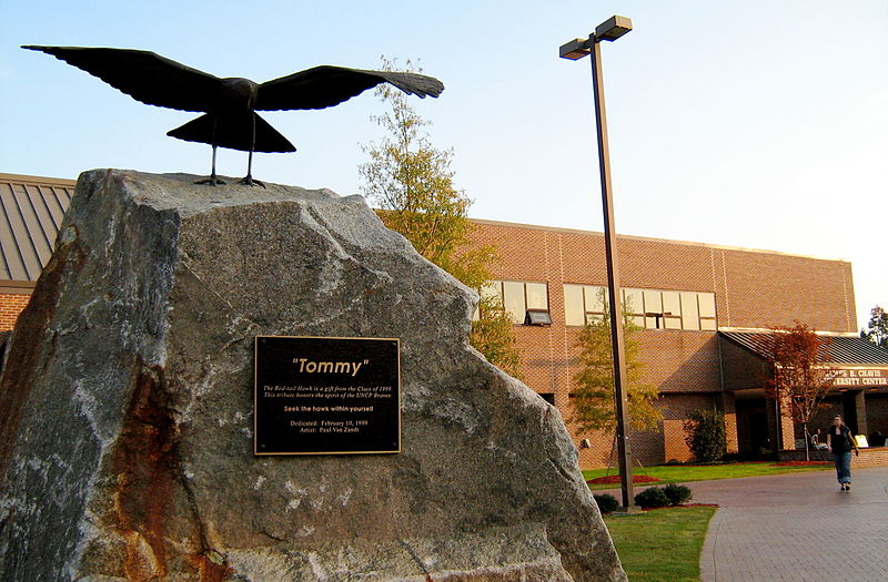 UNC Pembroke Appoints Nick Arena as New MBA Program Director