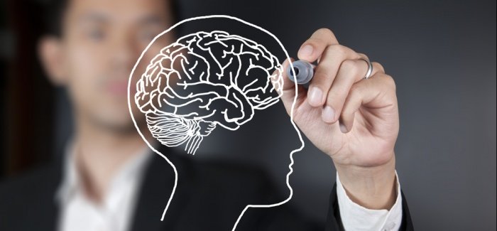 article lead image