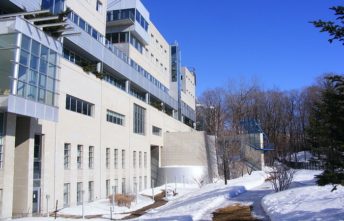 HEC Montréal