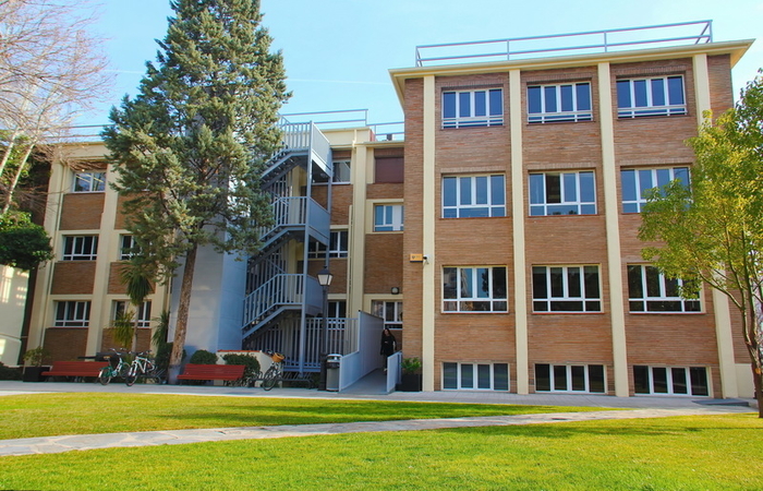 IE Business School