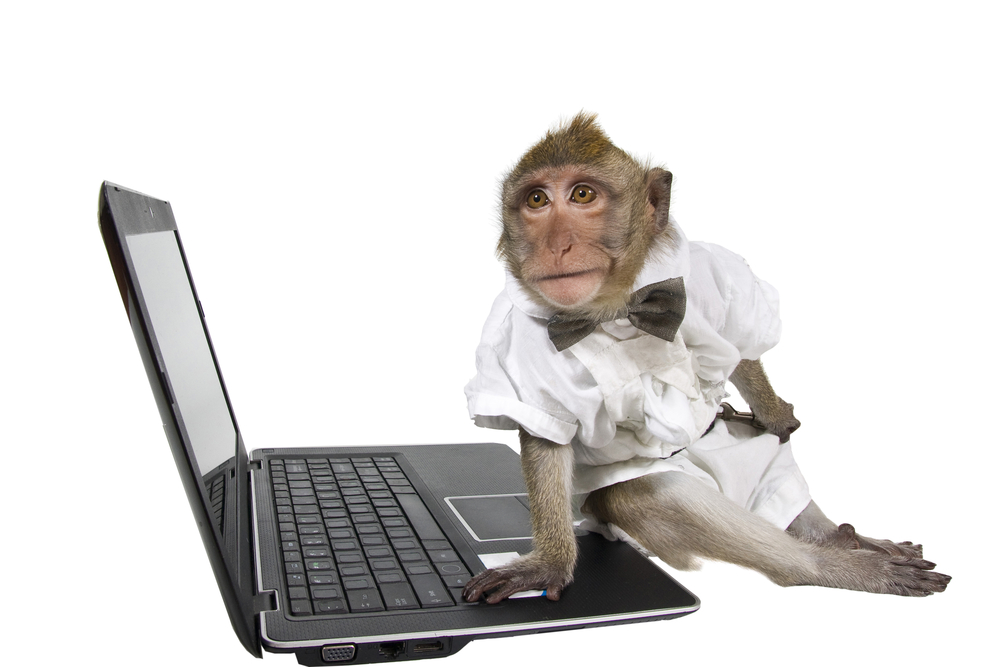 Cass Business School research reveals 'monkeys' capable of besting human investors 