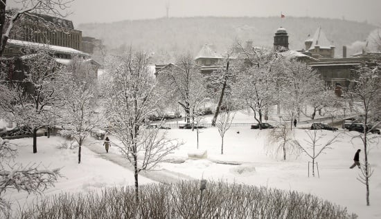 Top Business Schools In Winter Topmba Com