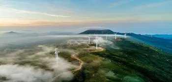 B-School Graduate Sustainable Start-Ups to Look Out For in 2020 main image