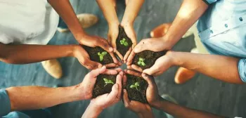 How to Make Your Organization More Sustainable