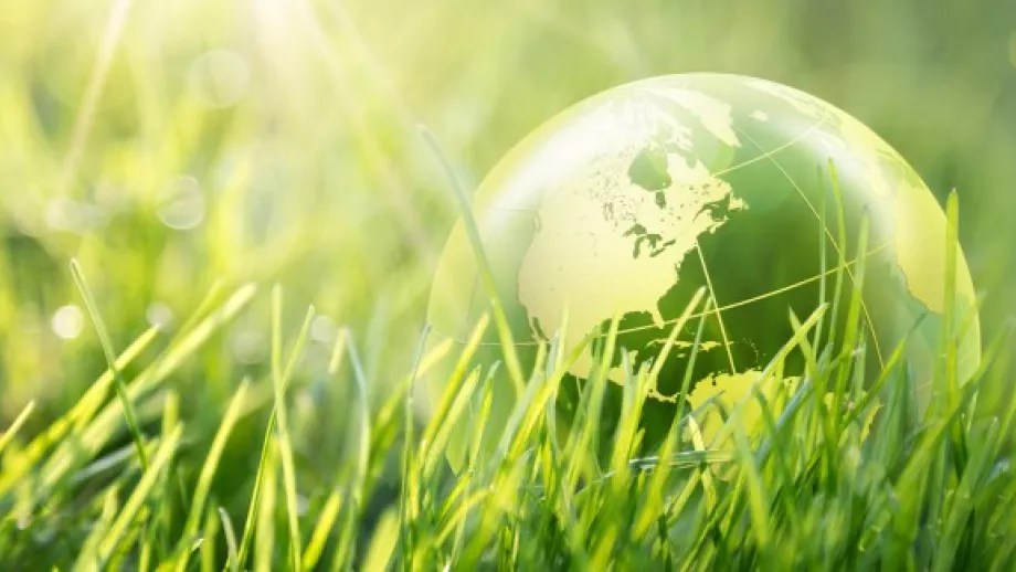 The evolution of sustainability on MBA programs main image