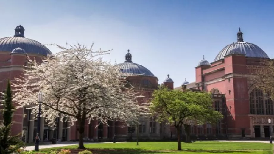 Birmingham university business school online mba 