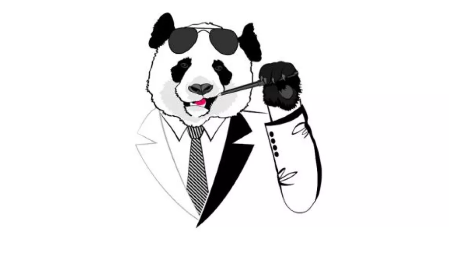 USC Marshall MBA graduate runs an e-commerce panda enterprise
