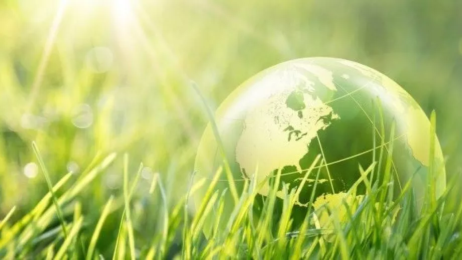 Working at KMPG: Corporate Social Responsibility 