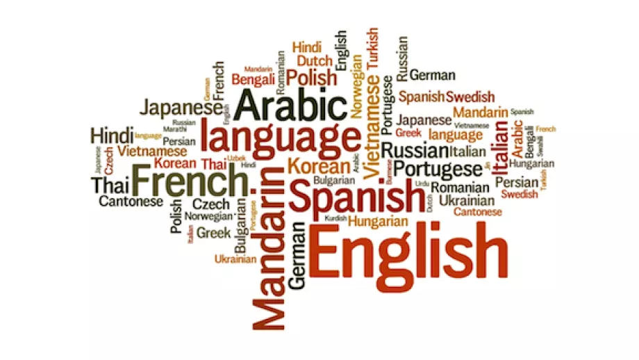 Does Business Need More Non-English Language Executive MBA Programs? main image