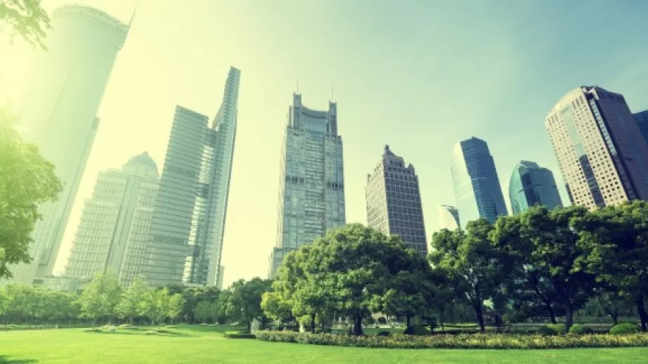 NYU Stern extends Volatility Institute into Shanghai 