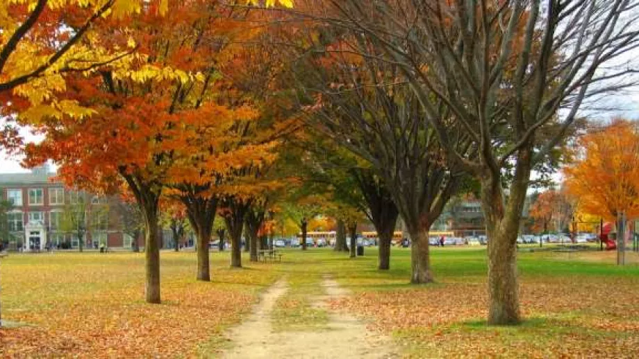 Ann Arbor, the city that is home to Michigan Ross