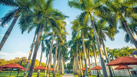 campus image