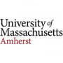 Isenberg Part-time MBA Logo